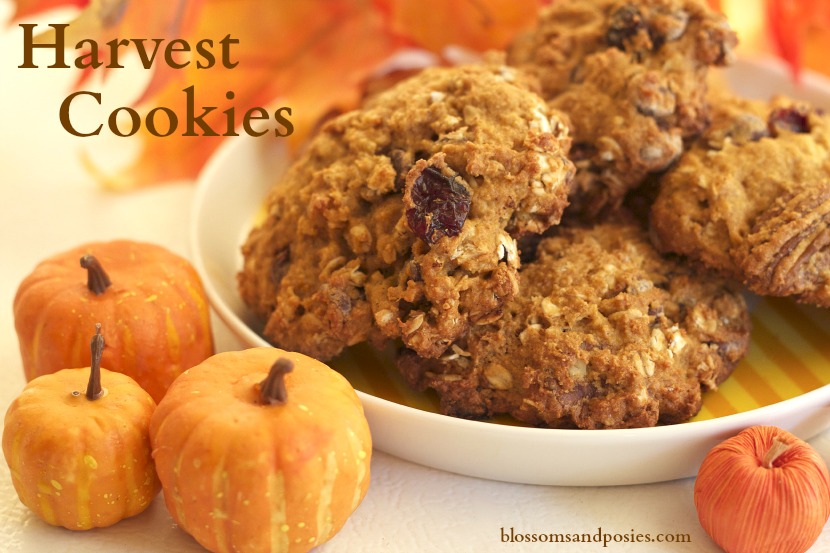 Harvest Cookies
