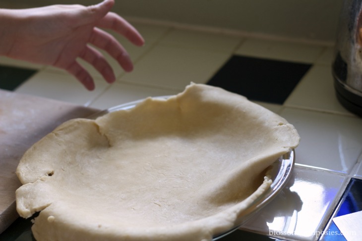 Put dough in pan