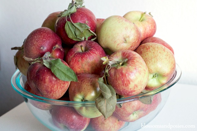 Apples from the tree - blossomsandposies.com