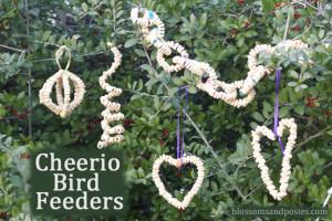 Cheerio Brid Feeders - BlossomsAndPosies.com