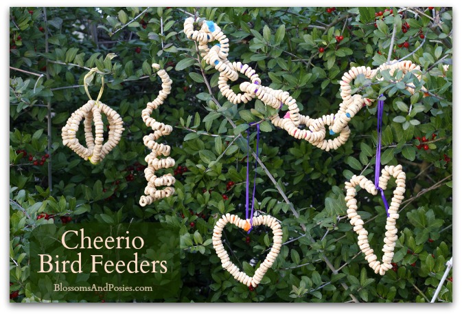Cheerio Bird Feeder - BlossomsAndPosies.com