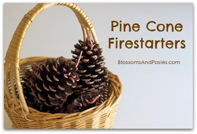 pine cone firestarters