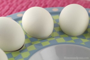 eggs - BlossomsAndPosies.com