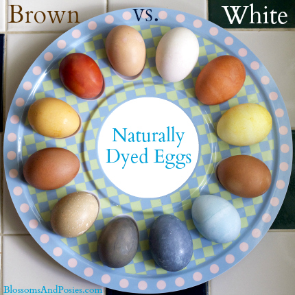 naturally dyed eggs (brown vs white) - blossomsandposies.com http://wp.me/p2NEfY-rD