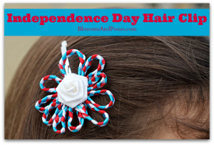 independence day hair clip - blossomsandposies.com