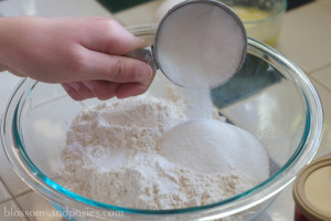 add dry ingredients | blossomsandposies.com