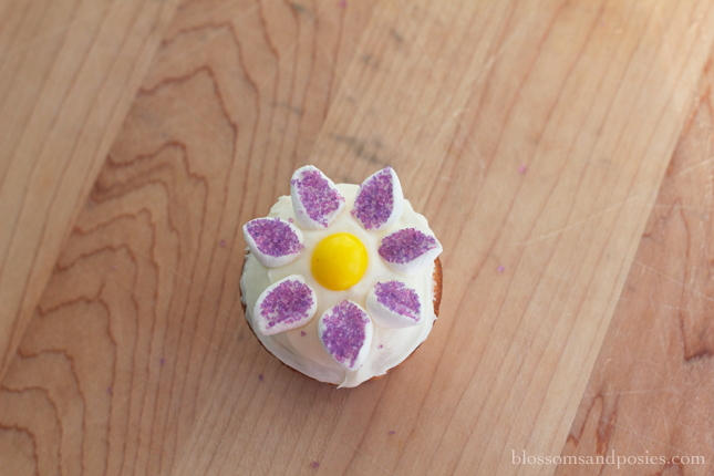 Daisy Mini-Cupcakes via Blossoms and Posies http://wp.me/p2NEfY-G5