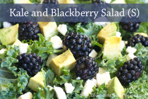 Kale and Blackberry Salad (S) #trimhealthymama #thm #glutenfree
