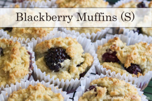 Blackberry Muffins (S) #TrimHealthyMama #thm #glutenfree #gf