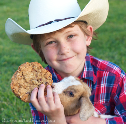 Cowboy Cookies ~ blossomsandposies.com