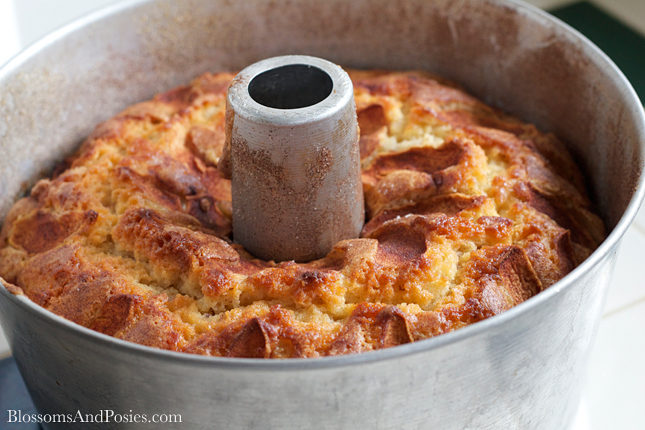 Cinnamon Apple Cake - a yummy way to use extra apples!