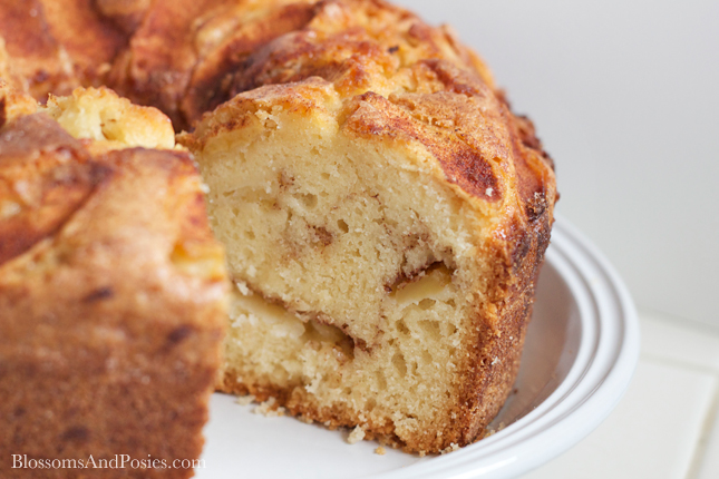 Cinnamon Apple Cake - layers of delicious yellow cake and cinnamony sweet apples