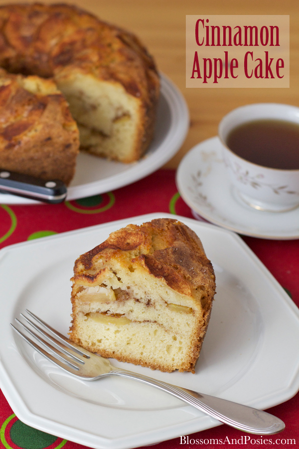 Cinnamon Apple Cake - a great cake for company!
