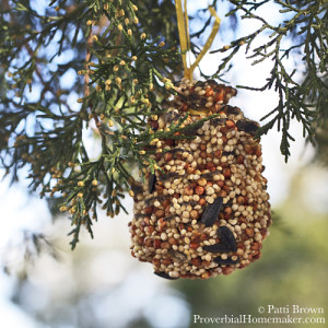 Make a pinecone bird feeder with your favorite little person! This is a great hands on craft for winter!