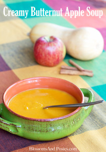 Creamy butternut apple soup is perfect for a chilly day, and a delicious way to get several servings of fruit and veggies! Chock full of Vitamin A too!