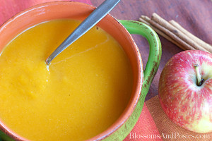 Creamy butternut apple soup is perfect for a chilly day, and a delicious way to get several servings of fruit and veggies! Chock full of Vitamin A too!